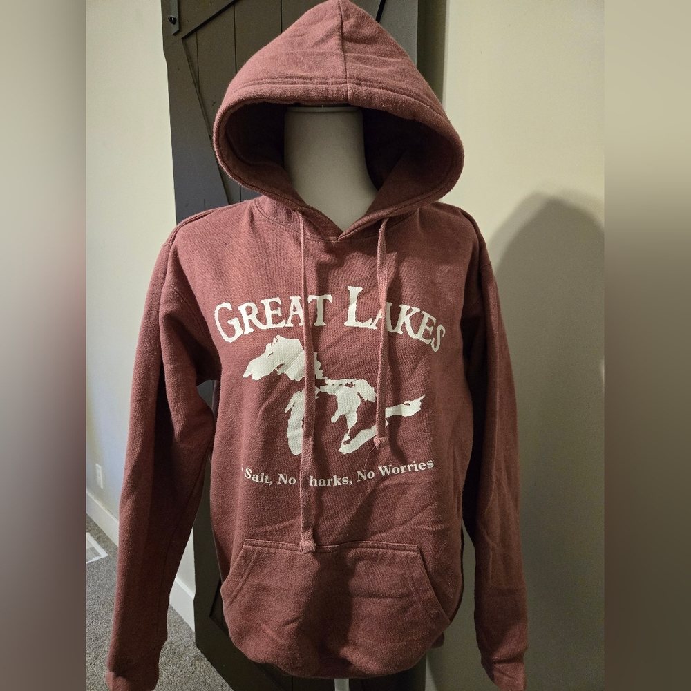 Great Lakes Graphic Hoodie - Pink